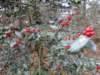 NWK 2012 040_small.jpg